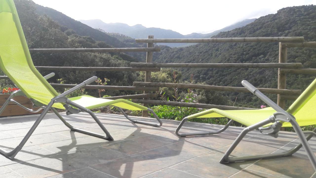 Appartement Giannoni San-Martino-di-Lota Bagian luar foto