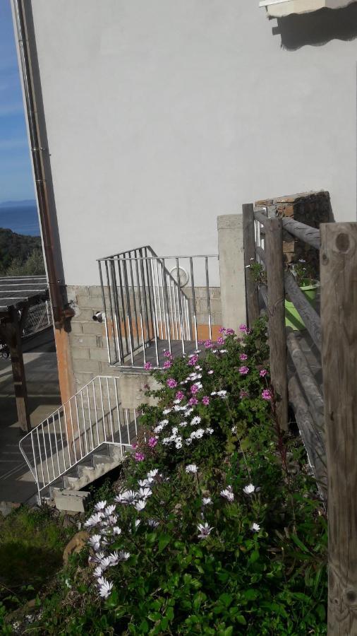Appartement Giannoni San-Martino-di-Lota Bagian luar foto