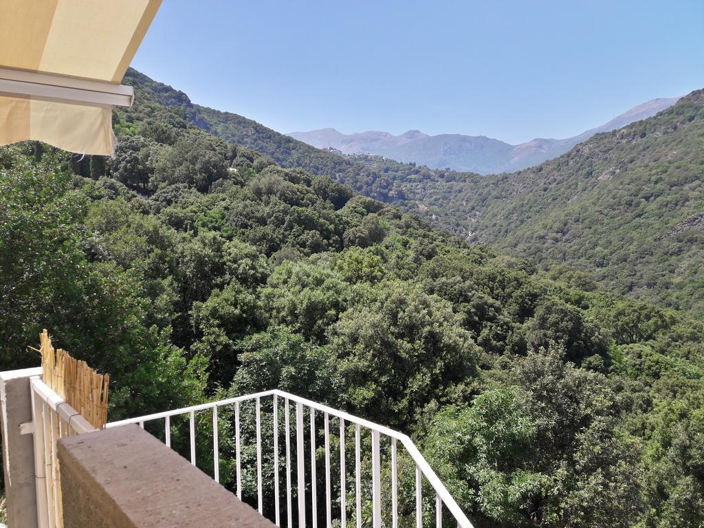 Appartement Giannoni San-Martino-di-Lota Bagian luar foto